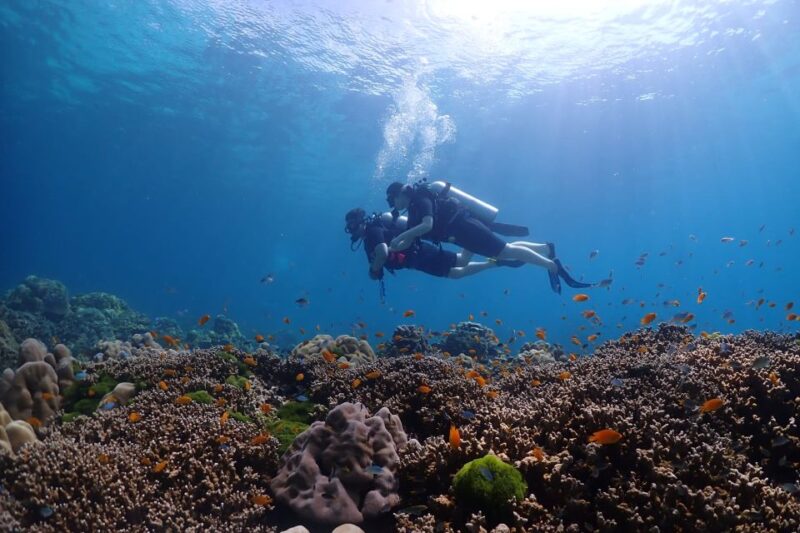 Discover Scuba Diving Racha Yai From Phuket - Underwater Discoveries