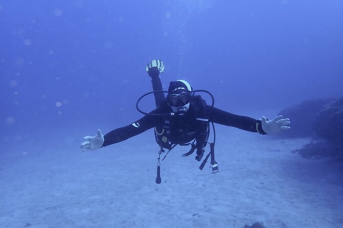 Discover Scuba Diving, Tenerife. Photos and Videos Included - Good To Know