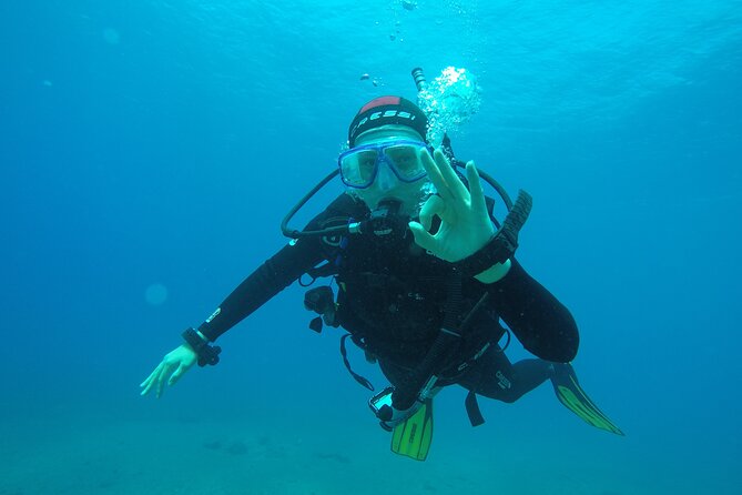 Discover Scuba Diving, Tenerife. Photos and Videos Included - Discover the Underwater World