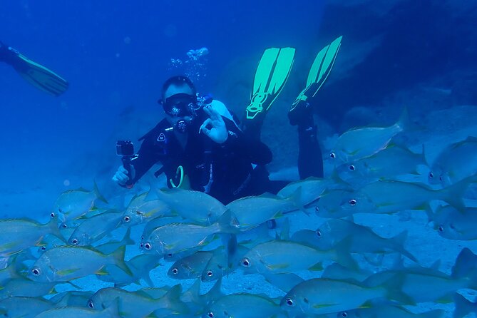 Discover Scuba Diving, Tenerife. Photos and Videos Included - Immerse Yourself in Tenerife