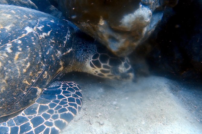 Discover Scuba Diving, Try Dive for Beginners ( Start at Ko Kut) - Boat Departure and End Point