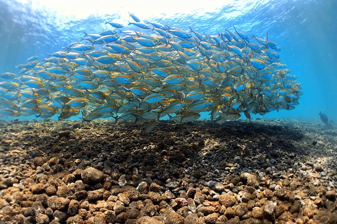 Discover Scuba Diving Tulamben Bali For Non-Certified Divers - Package Inclusions and Logistics