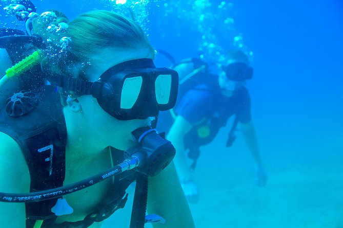 Discover Scuba Experience at Las Caletas, Puerto Vallarta - Participant Reviews and Feedback