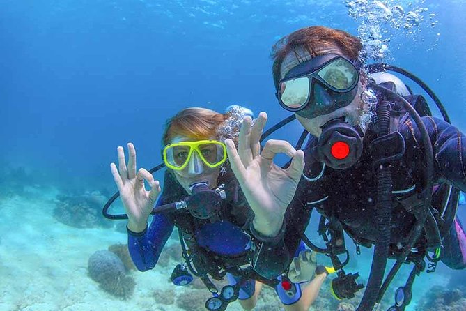 Discover Scuba Experience at Las Caletas, Puerto Vallarta - Additional Activities at Las Caletas