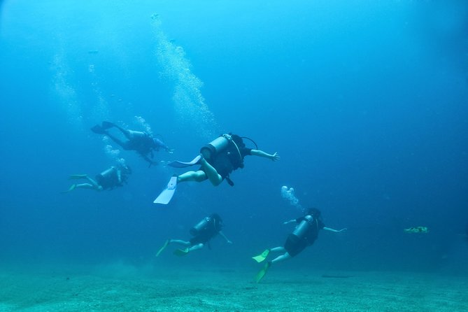 Discover Scuba Experience at Las Caletas, Puerto Vallarta - What to Expect on the Dive