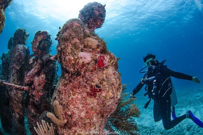 Discover Scuba ,Musa and Manchones Reef Dive Without License - Meeting and Pickup