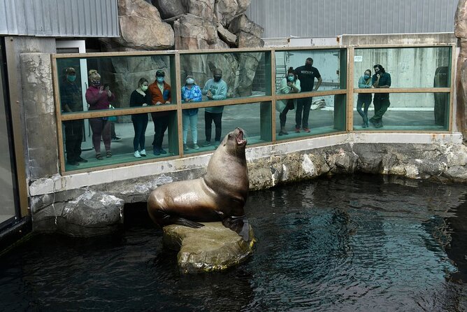 Discover Seward: Self-Guided Audio Tour - Coastal Trails and Harbor Views