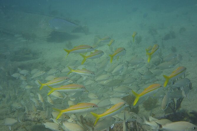 Discover Snorkeling Tour in Panama City - Exploring the Jetties