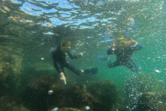 Discover Snorkeling Tour in Panama City - Meeting Point and Directions