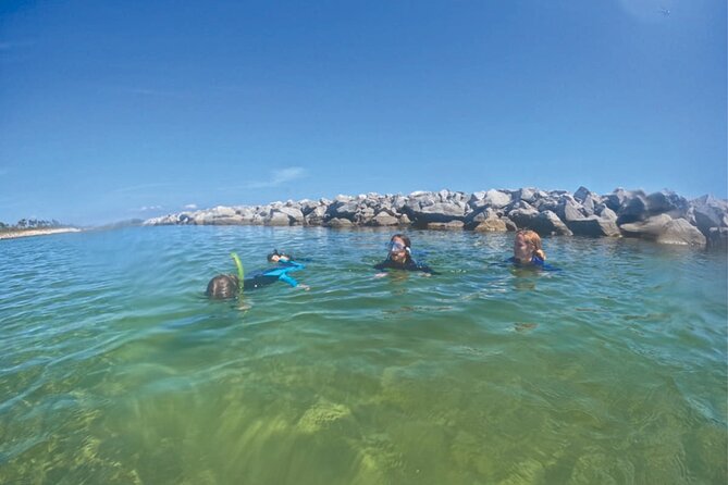 Discover Snorkeling Tour in Panama City - Sightings of Marine Life
