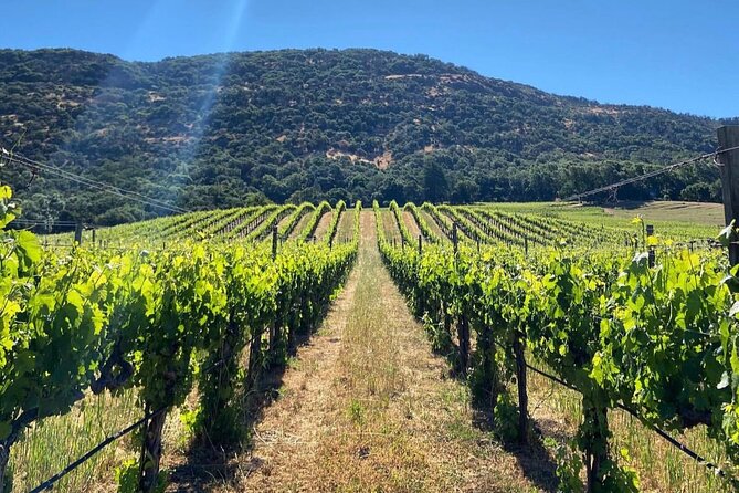 Discover Sonomas Natural Wineries in Small-Group Tour - Highlights of the Tour Experience
