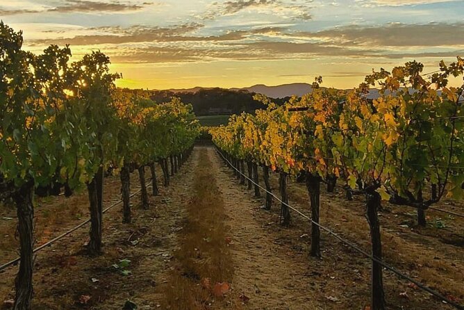 Discover Sonomas Natural Wineries in Small-Group Tour - Important Booking and Cancellation Information