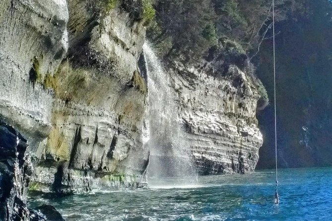 Discover Sooke to Port Renfrew Scenic Tour of Vancouver Islands - Booking and Cancellation