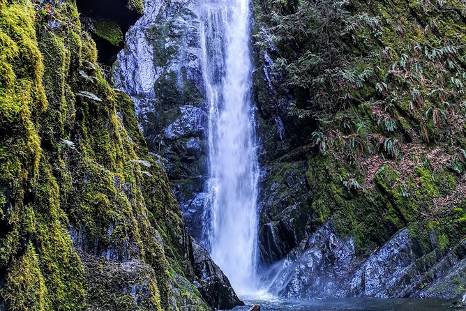 Discover Sooke to Port Renfrew Scenic Tour of Vancouver Islands - Scenic Coastline Exploration