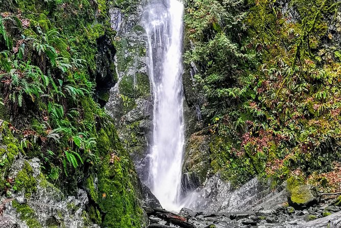 Discover Sooke to Port Renfrew Scenic Tour of Vancouver Islands - Picturesque Beach Destinations