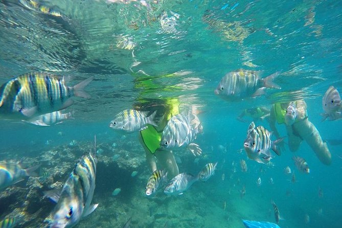 Discover Sosuas Underwater World & Beach Day - Convenient Transportation and Accommodations