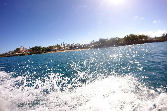 Discover Sosuas Underwater World & Beach Day - Positive Customer Feedback