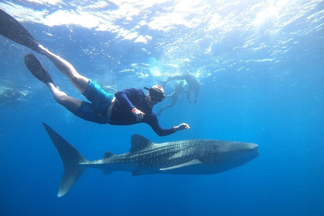 Discover South Ari Atoll in 4 Nights 5 Days (All-Inclusive) - Inclusions and Exclusions