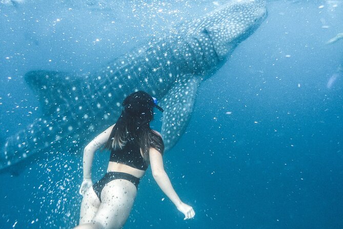 Discover South Ari Atoll in 4 Nights 5 Days (All-Inclusive) - Arrival and Departure