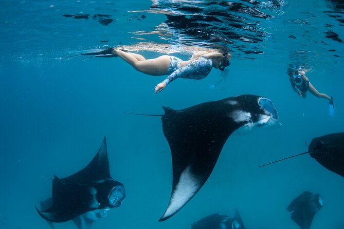 Discover South Ari Atoll in 4 Nights 5 Days (All-Inclusive) - Food and Dining