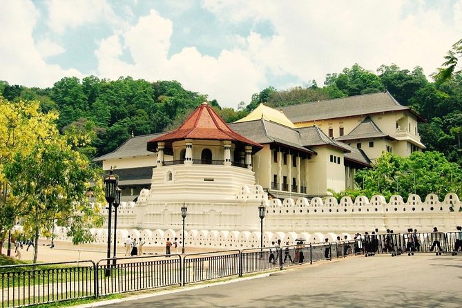 Discover Sri Lankan Beauty - 12 Days - Accommodation and Meals