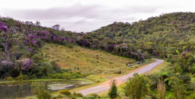 Discover Sri Lankas Central Highlands in 5 Days - Discover Misty Landscapes