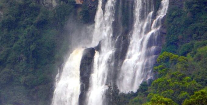 Discover Sri Lankas Central Highlands in 5 Days - Encounter Wildlife and Culture