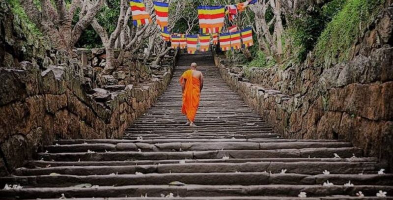 Discover Sri Lankas Culture and Heritage in 7 Days! - Transportation and Guide Services