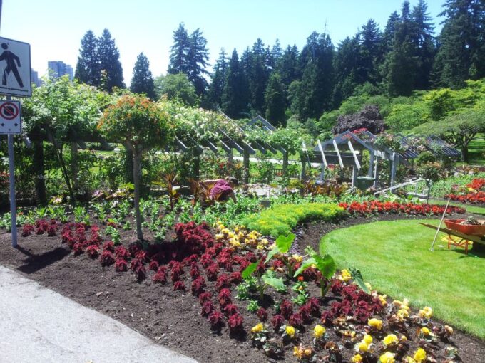 Discover Stanley Park With a Smartphone Audio Walking Tour - Panoramic Views and Attractions
