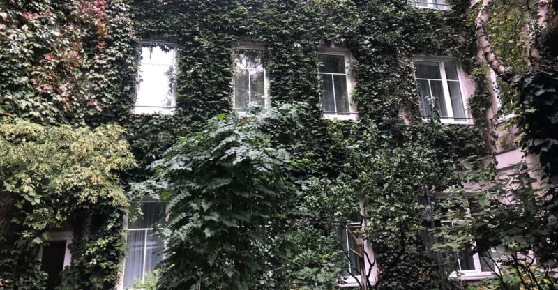 Discover Sustainable Projects in Vienna by Foot - Good To Know
