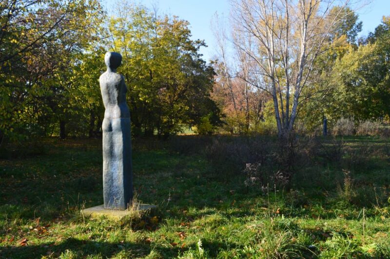 Discover Sustainable Projects in Vienna by Foot - Private Group Option