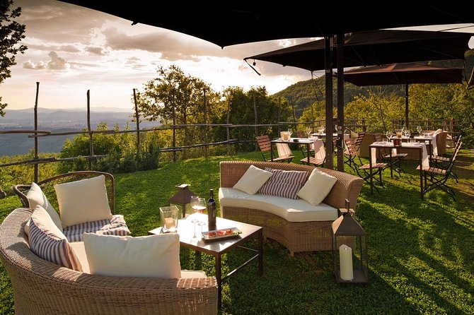 Discover Sustainable Wines in a Guided Tour and Tasting - Accompanying Delicacies
