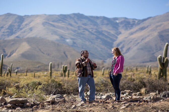 Discover Tafí Del Valle and Quilmes Ruins in a Day Tour - Explore Los Menhires Archaeological Reserve