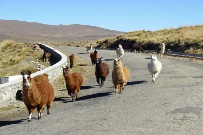 Discover Tafi Del Valle: Guided Journey - Destination Highlights