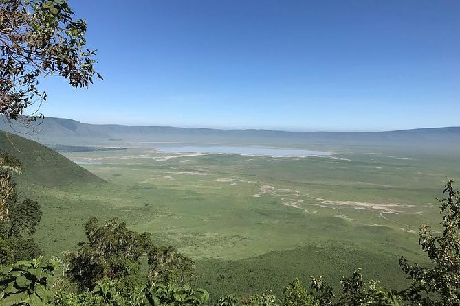 Discover Tanzania Through the 3 Wild Classics - Wildlife Viewing Highlights