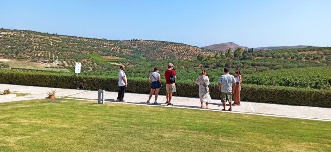 Discover Taste of Crete: Guided Winery Tour and Tastings - Cultural Exploration