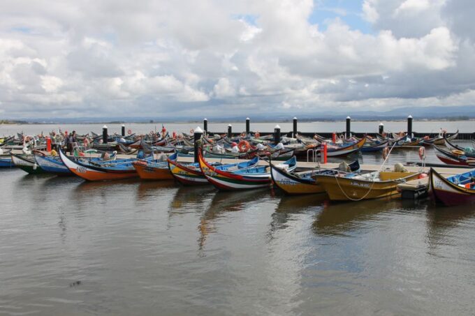 Discover the Allure of Porto / Lisbon on Private Luxury Tour - Immerse in Historic Cities