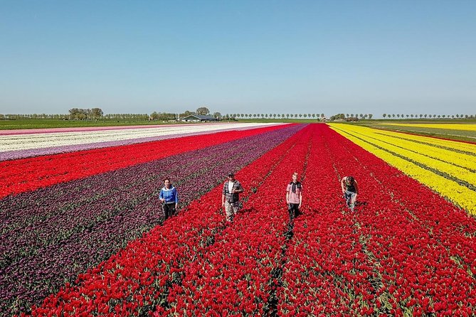 Discover the Amsterdam Lake District and Tulip Fields Tour - Crossing the Afsluitdijk