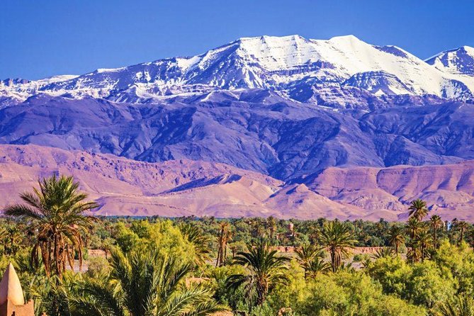 Discover the Atlas Mountains and Its Waterfall, Half Day Tour - Highlights of the Tour