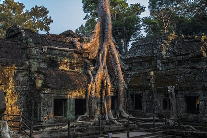 Discover the Beauty of Angkor Wat Sunrise Tour-Small Group - Reviews and Ratings