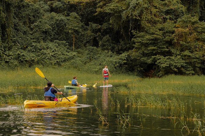 Discover the Beauty of Arenal Lake on a Guided Kayaking Tour - Highlights of the Experience