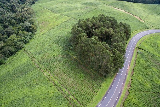 Discover the Beauty of Rwanda in 12Days - Encountering Rwandan Wildlife in Akagera
