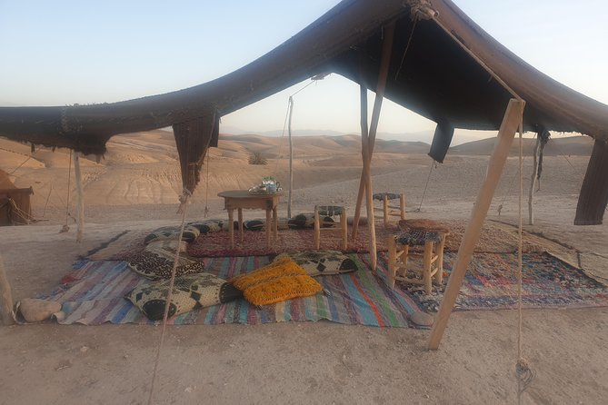 Discover The Berber Culture On Your Private Day Trip From Marrakech - Discover Camel Riding Experience