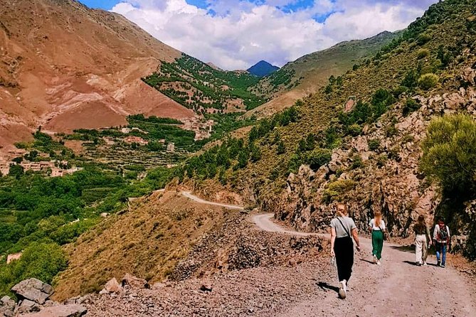 Discover The Berber Culture On Your Private Day Trip From Marrakech - Comfortable Transportation and Logistics