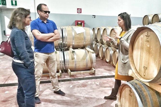 Discover the Best Cellars of Salento - Guided Tour of Lecces Wineries