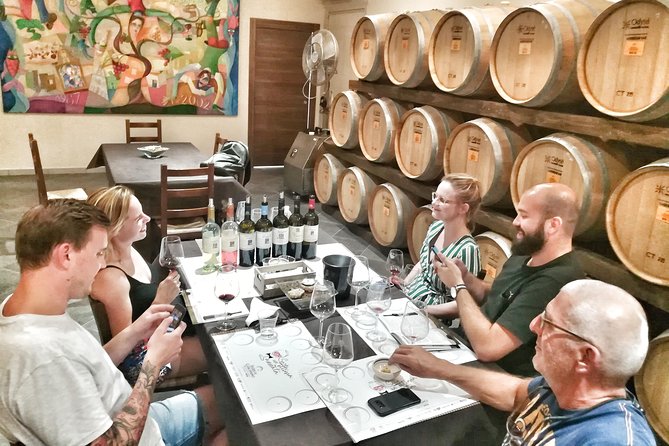 Discover the Best Cellars of Salento - Tasting the Flavors of Salento