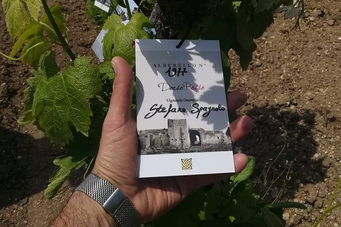 Discover the Best Cellars of Salento - Transportation and Tour Details