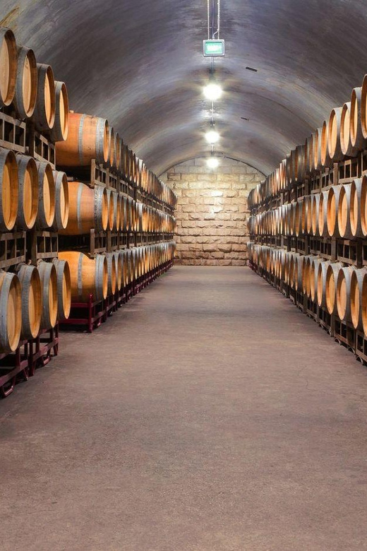 Discover the Charm of Porto: a Picturesque Journey - Iconic Sites and Attractions