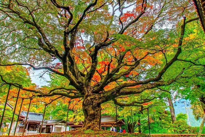 Discover the Charms of Fukuoka - Uncovering the Citys Rich Heritage