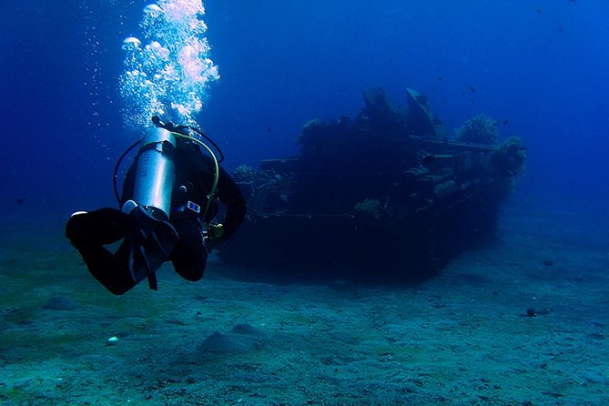Discover the Coral Reefs in Aqaba - Scuba Experience for Beginners - Meeting and End Point